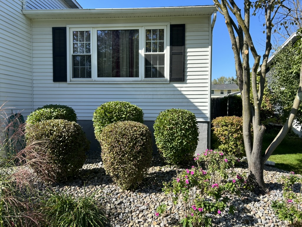 Neatly trimmed foundation shrubs in a stone landscape bed